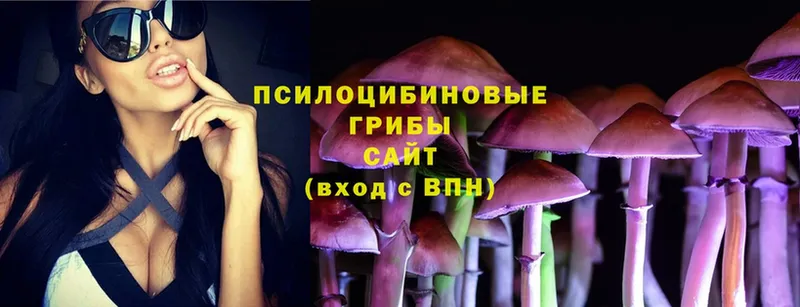 Галлюциногенные грибы MAGIC MUSHROOMS  наркотики  Тырныауз 